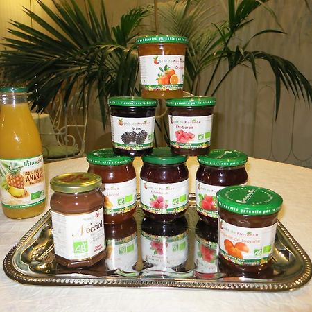 Le Vendome Cote Jardin Bed & Breakfast Tours Dış mekan fotoğraf